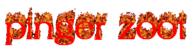 Pinger Zoot guild name in flames